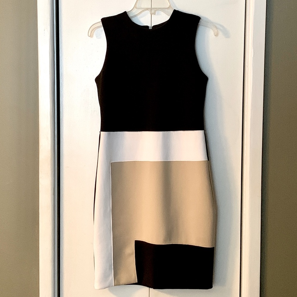 Reed Black White Geometric Print Fitted Spandex Dress